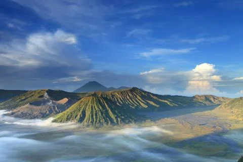 Bromo Foto stock
