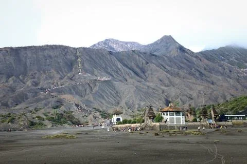 Bromo Foto stock