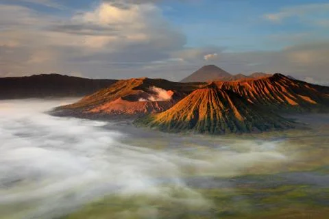 Bromo Foto stock