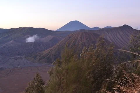 Bromo Stock Photos