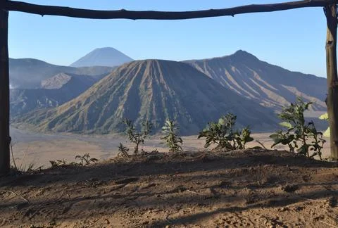 Bromo Stock Photos