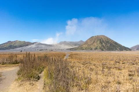 Bromo volcano in the background Stock Photos