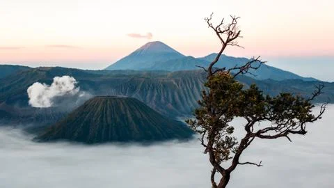 Bromo volcano on Java island, Indonesia Foto stock