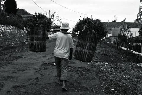 Bromo volcano Stock Photos