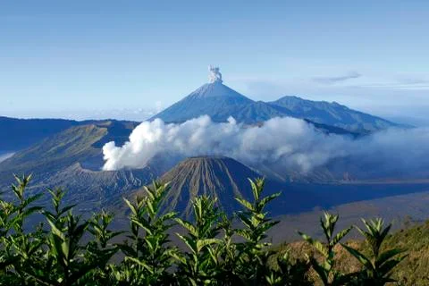 Bromo Volcano Stock Photos