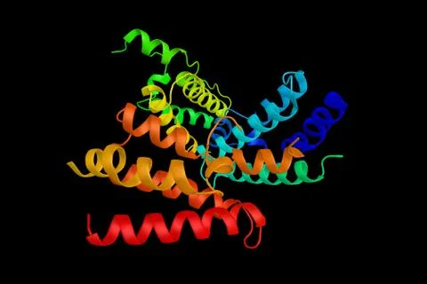 Bromodomain testis-specific protein.  It controls the genome-wide post-meio.. Illustration