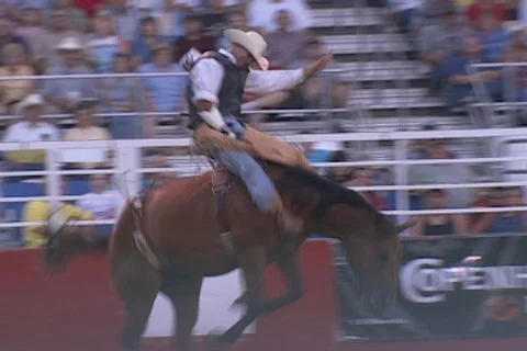 Bronc Busted Stock Footage 477750