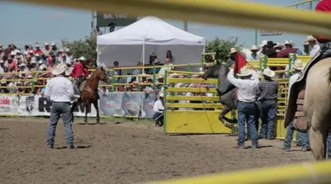 Bronc Buster Stock Footage 21198010