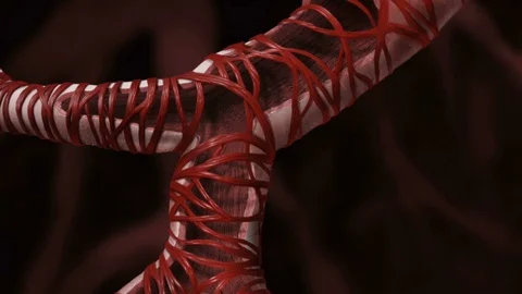 Bronchial Hyperreactivity Vidéo 90866297