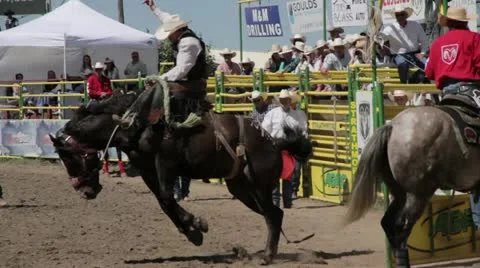 Bronco Busting Stock Footage 21198438