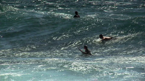 Bronte Beach NSW 05 Stock Footage 841641