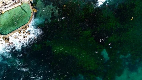 Bronte ocean pool Stock Footage 95703529
