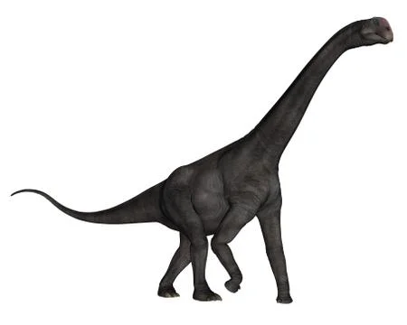 Brontomerus dinosaur - 3D render Stock Illustration
