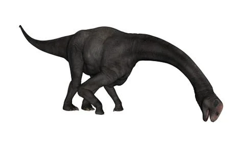 Brontomerus dinosaur - 3D render Stock Illustration