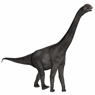Brontomerus dinosaur - 3D render Stock Illustration