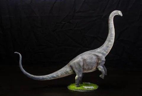 The Brontosaurus dinosaur  in the dark Stock Photos