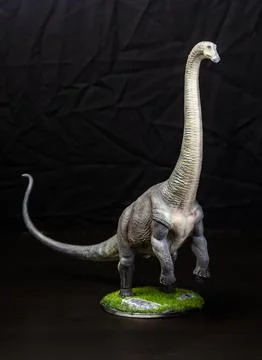 The Brontosaurus dinosaur  in the dark Stock Photos