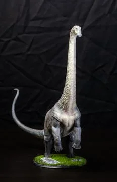 The Brontosaurus dinosaur  in the dark Stock Photos