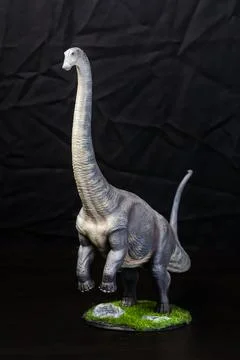 The Brontosaurus dinosaur  in the dark Stock Photos