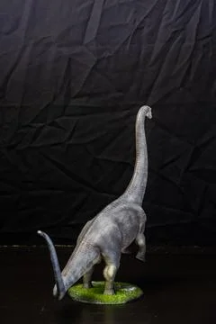 The Brontosaurus dinosaur  in the dark Stock Photos
