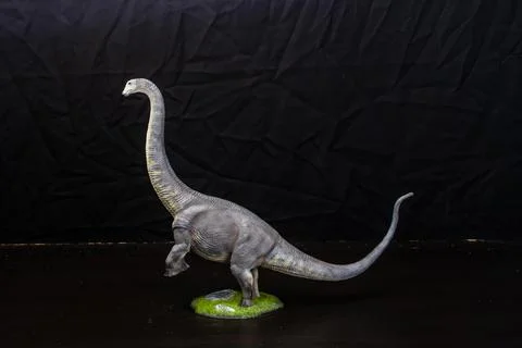 The Brontosaurus dinosaur  in the dark Stock Photos