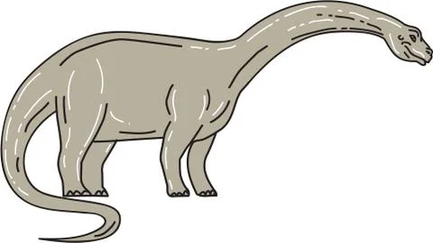 Brontosaurus Dinosaur Looking Down Mono Line Stock Illustration