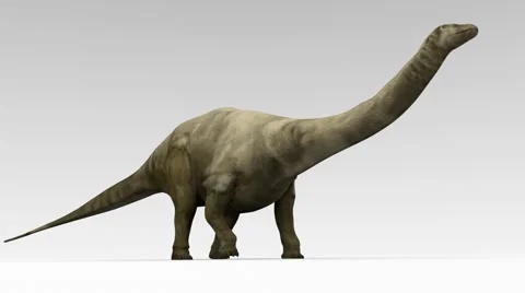 Brontosaurus Walking On White Background Animation Stock-Footage 62745178
