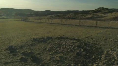 Bronze Age-Stone Circle 5 - Glen Lonan- Argyll Stock Footage 170011387