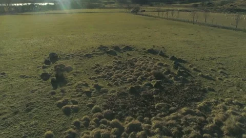 Bronze Age Stone Circle 6- Glen Lonan- Argyll Stock Footage 170500184