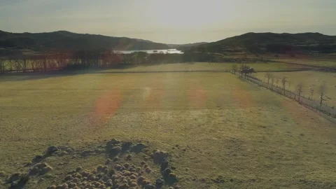 Bronze Age Stone Circle 7- Glen Lonan- Argyll Stock Footage 170500774