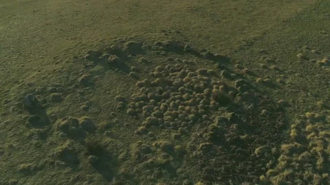 Bronze Age-Stone Circle 8 - Glen Lonan- Argyll Stock Footage 170011735
