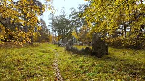 Bronze Age stone ship setting, skeppsättning, in autumn forest, Goltand Stock Footage 328609926