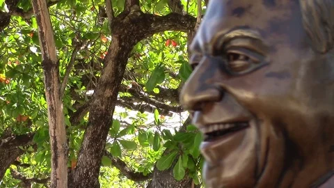 Bronze bust and statue of USA President Dwight Eisenhower Stock Footage