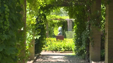 Bronze bust of Carl Linnaeus displayed in botanic garden Stock Footage 137179543