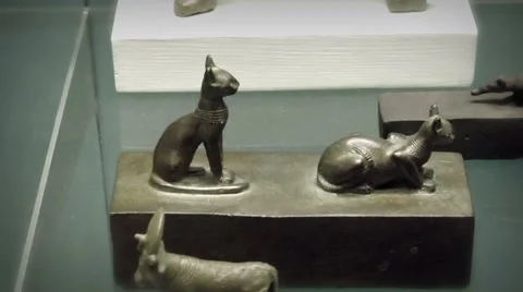 Bronze cat mummy case Video stock 50671628