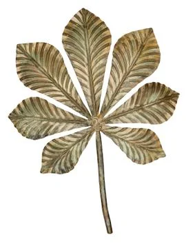 Bronze chestnut leaf. Stock Photos