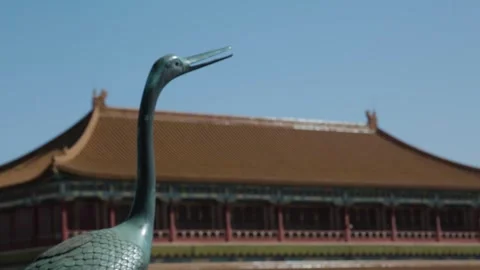 Bronze Crane Statue with Traditional Architecture at Forbidden City in Beijing Stock Footage 345818734