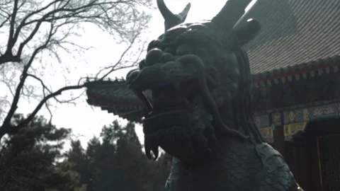 Bronze Dragon Statue in Front of Traditional Building at Summer Palace Beijing C Stock Footage 341780199