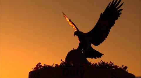 Bronze Eagle at Sunset WS 動画素材 35345023
