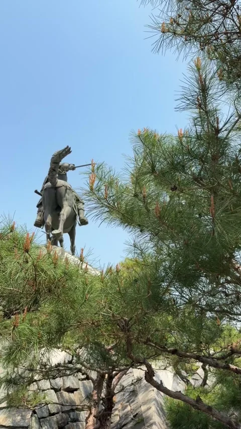 Bronze Equestrian Statue Framed by Pine Trees in Seoul, Vertical Stock Footage 339468613