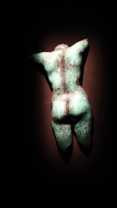 Bronze female torso from back Stock Footage 331233053