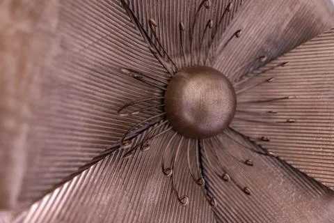 Bronze flower Stock Photos