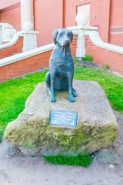 Bronze Guide dog staue New Brighton Wirral Stock Photos