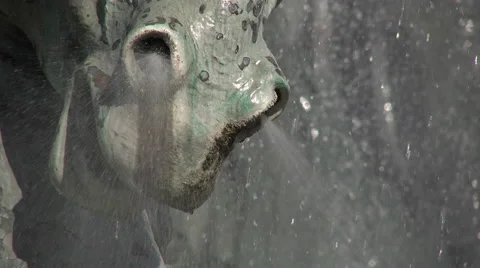 Bronze horse head Video stock 55859088