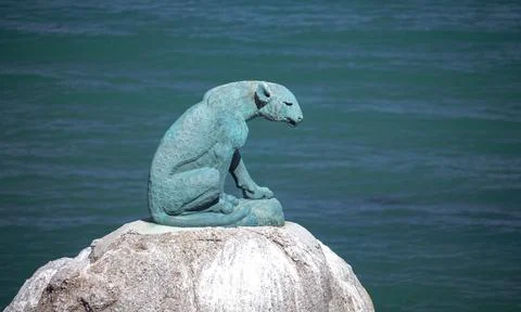 Bronze leopard on the background of turquoise ocean water. Stock Photos