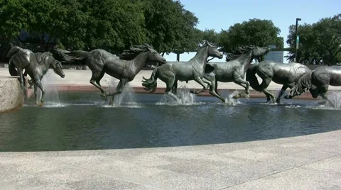 Bronze Mustangs  Running Stock-Footage 1094871