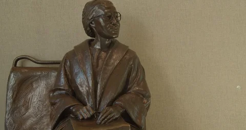 Bronze Rosa Parks Statue, Close Up, Civil Rights Icon Stock Footage 119026202