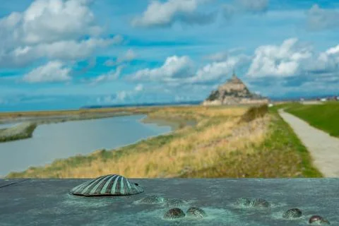 Bronze scallop shell markers on a stone surface, symbolizing the Camino de Stock Photos