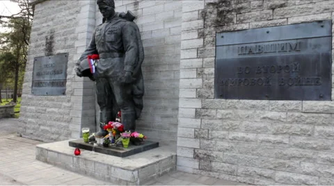 Bronze Soldier Right Side View Video stock 46291293