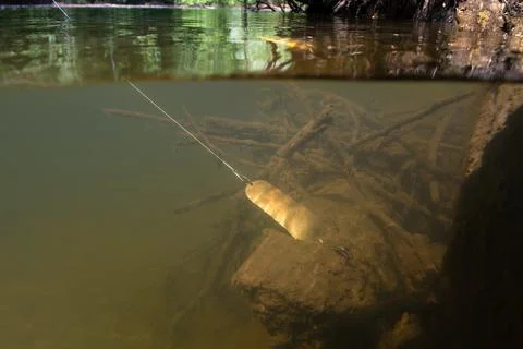 The bronze spoon caught on a silted snag Stock Photos